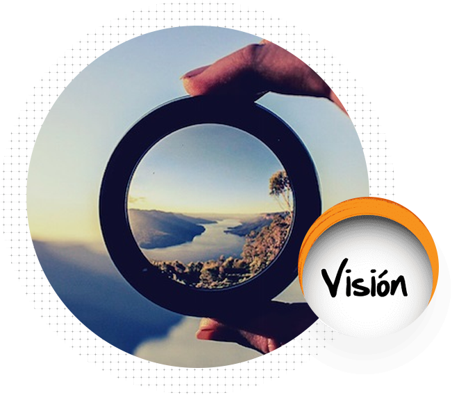 Vision